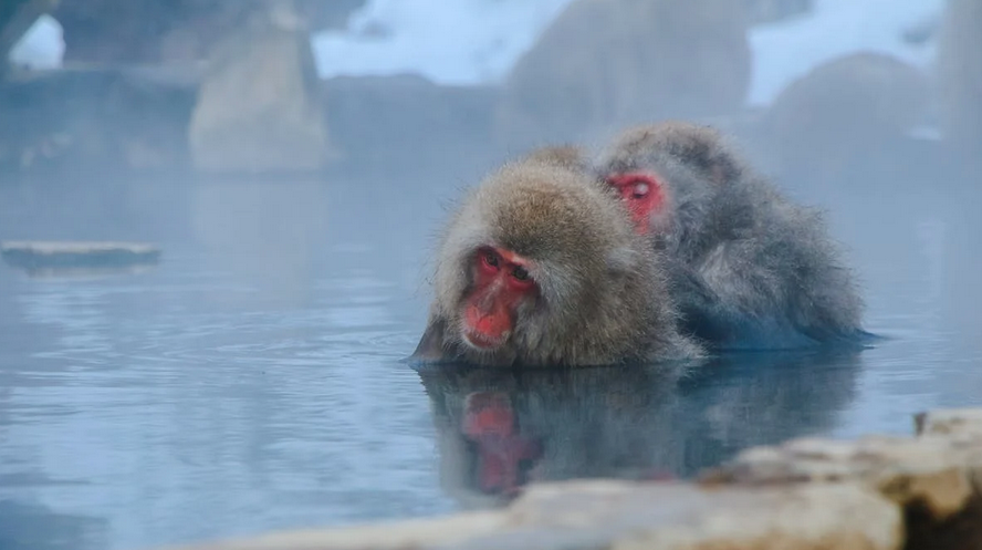フィリピンの温泉探しています！